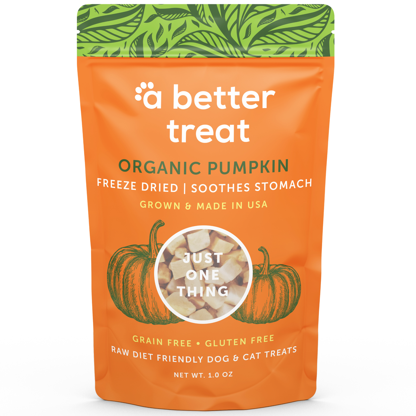 Freeze Dried Raw USDA Organic Pumpkin Dog and Cat Treats