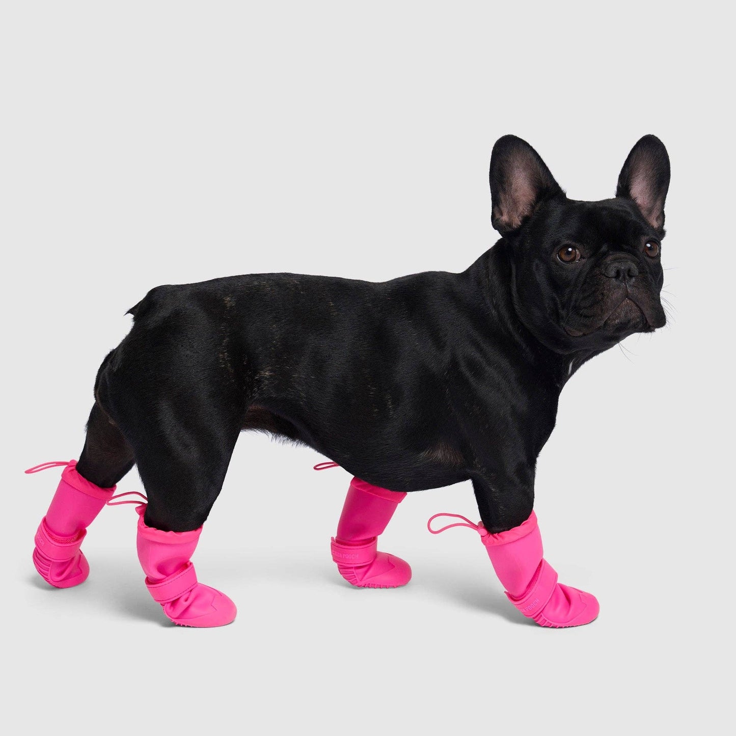 Waterproof Rain Boots- Dog Boots