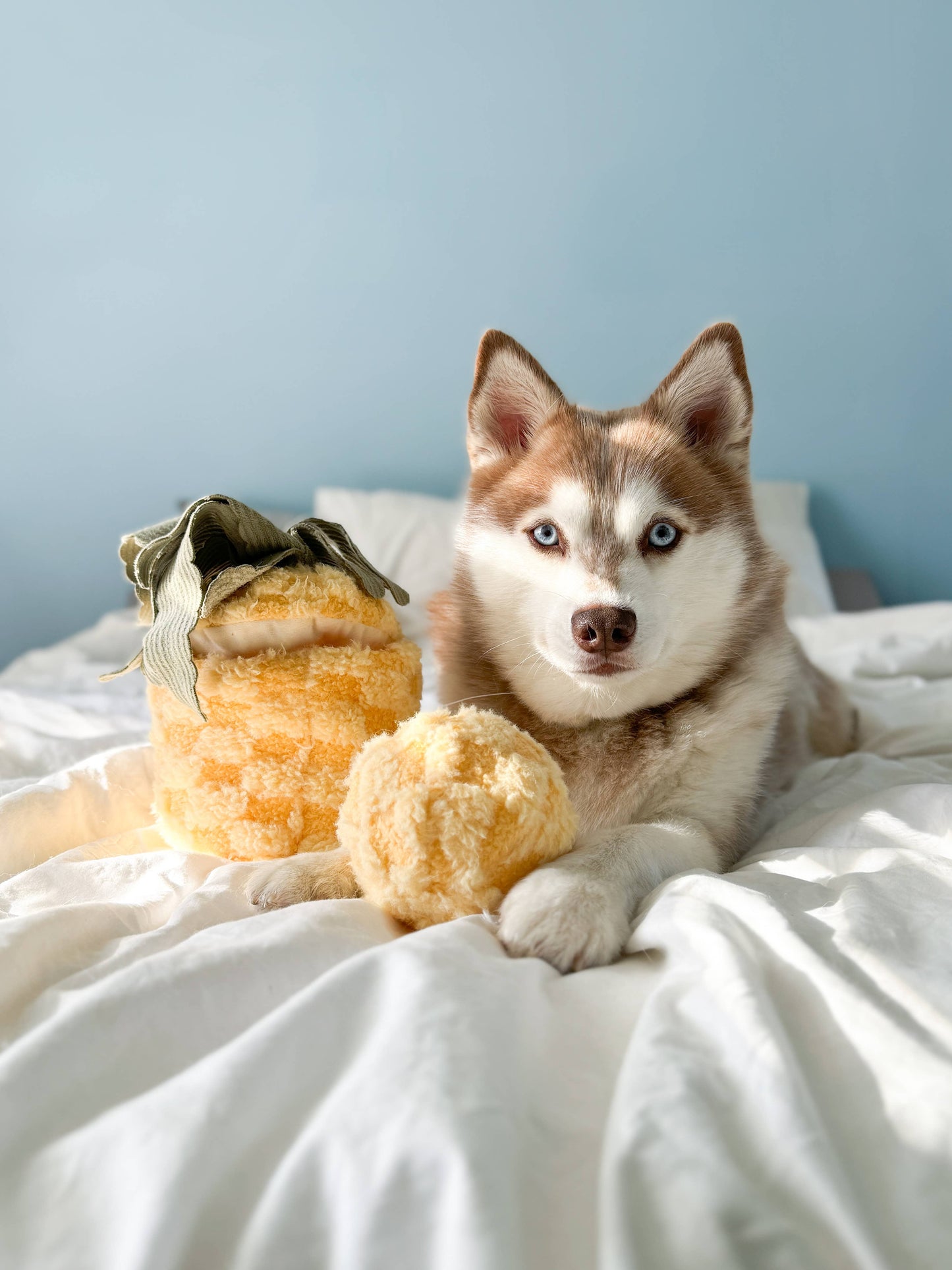 PINEAPPLE//ENRICHMENT DOG TOY