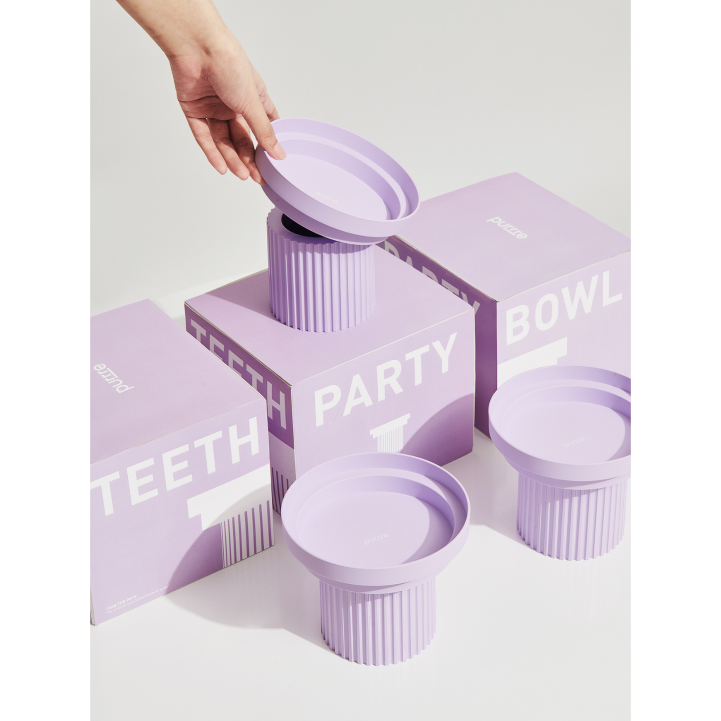 Teeth Party Elevated Feeders: Teeth Party Bowl / Sunset Gold