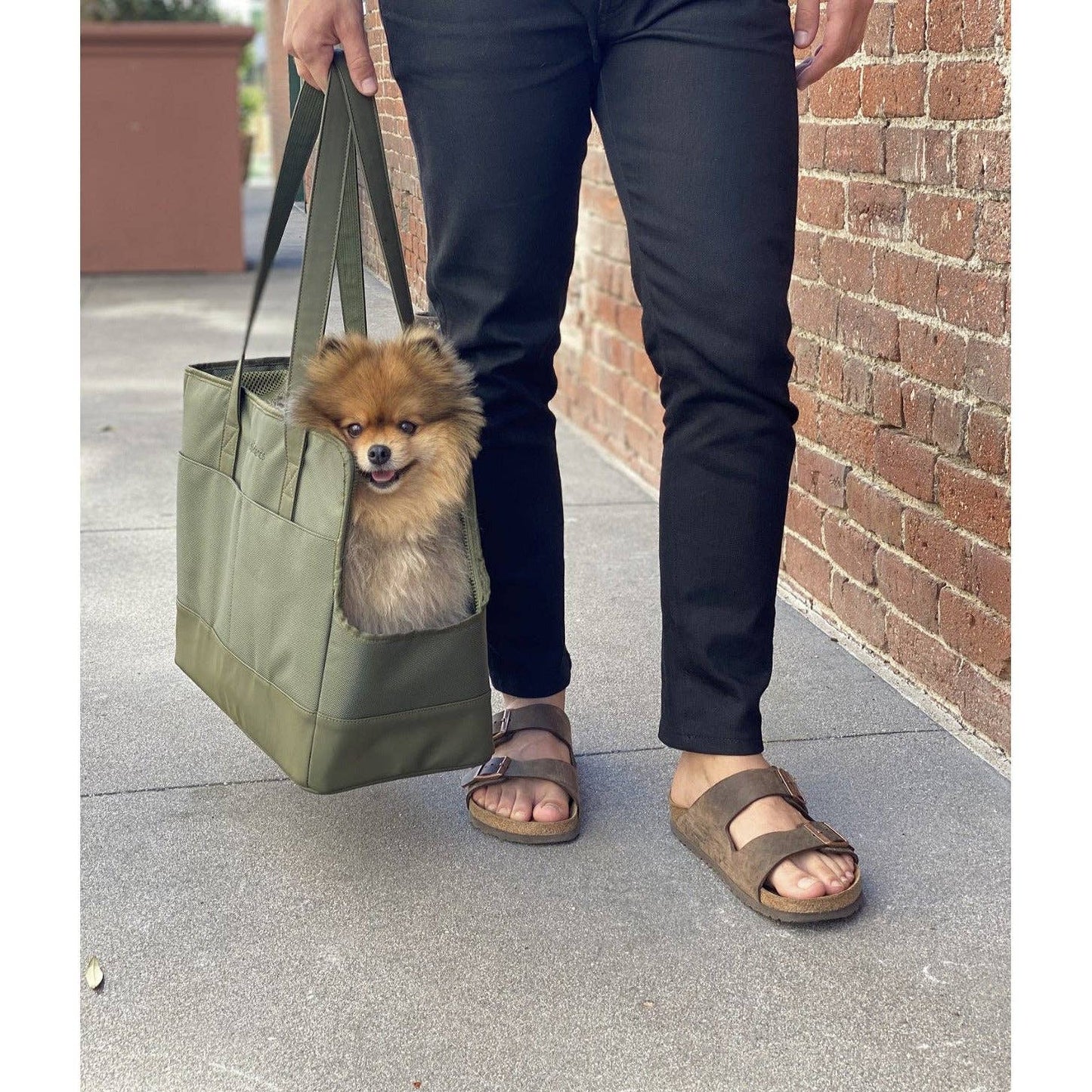 Sage Green Pet tote bag