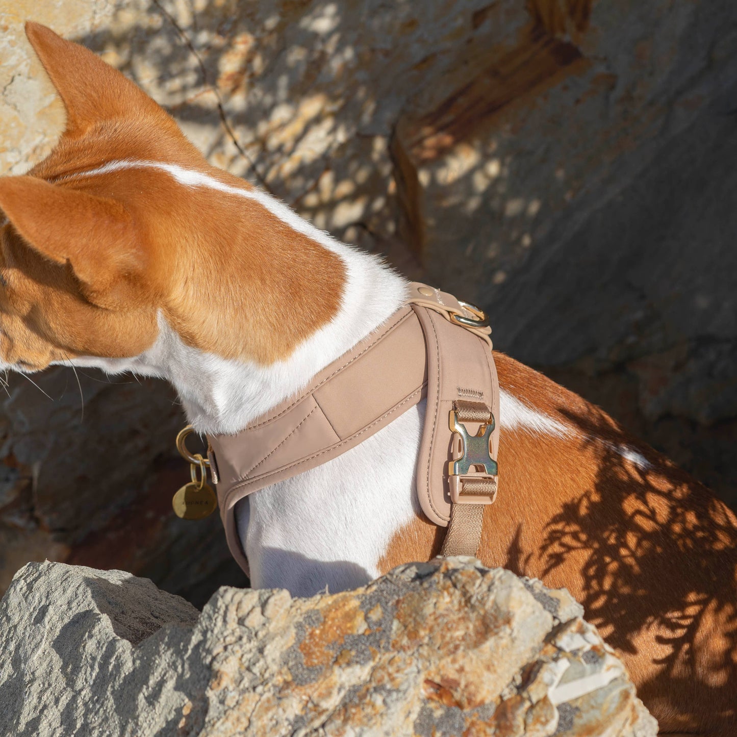 Roam Luxe Harness (Desert) | Dog Walking Gear | Dog Harness