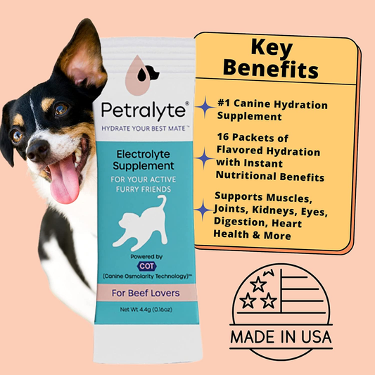 Dog Electrolyte and Joint Supplement | Beef Lovers