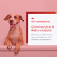 Chlorhexidine Ketoconazole Shampoo for Dogs & Cats - 12oz