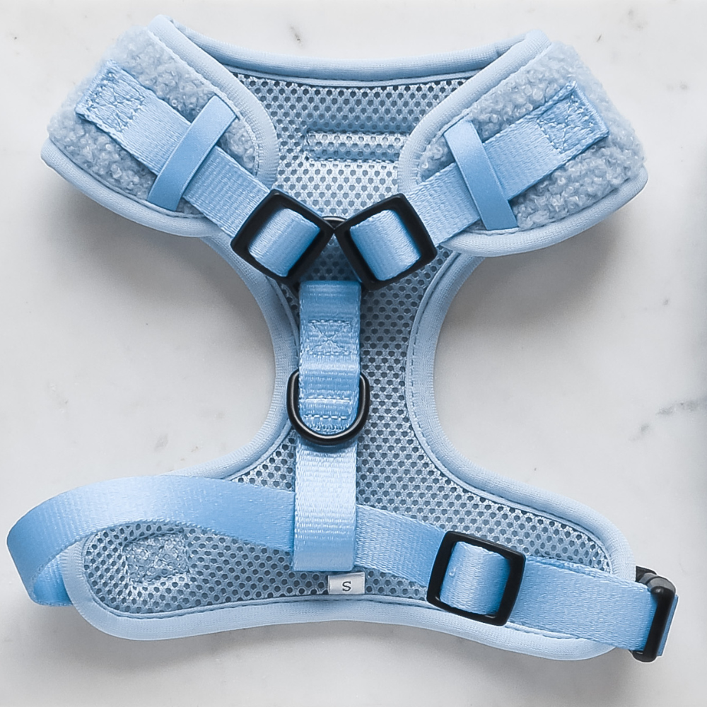 Teddy Daydream Adjustable Neck Harness