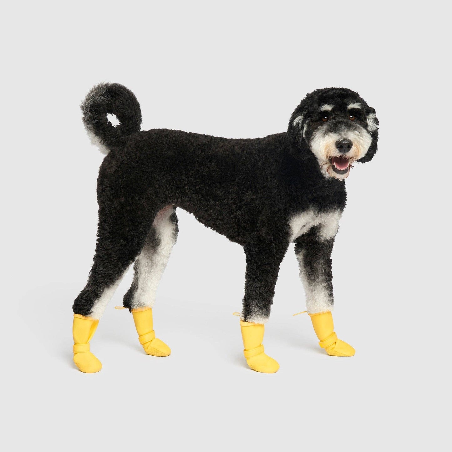 Waterproof Rain Boots- Dog Boots