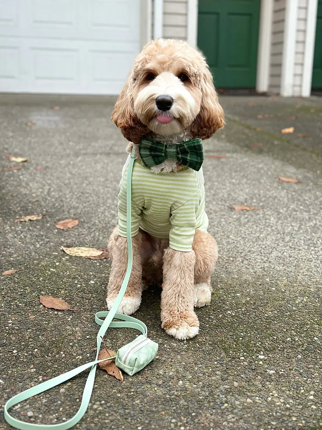 Pistachio Green Waterproof Dog Collar