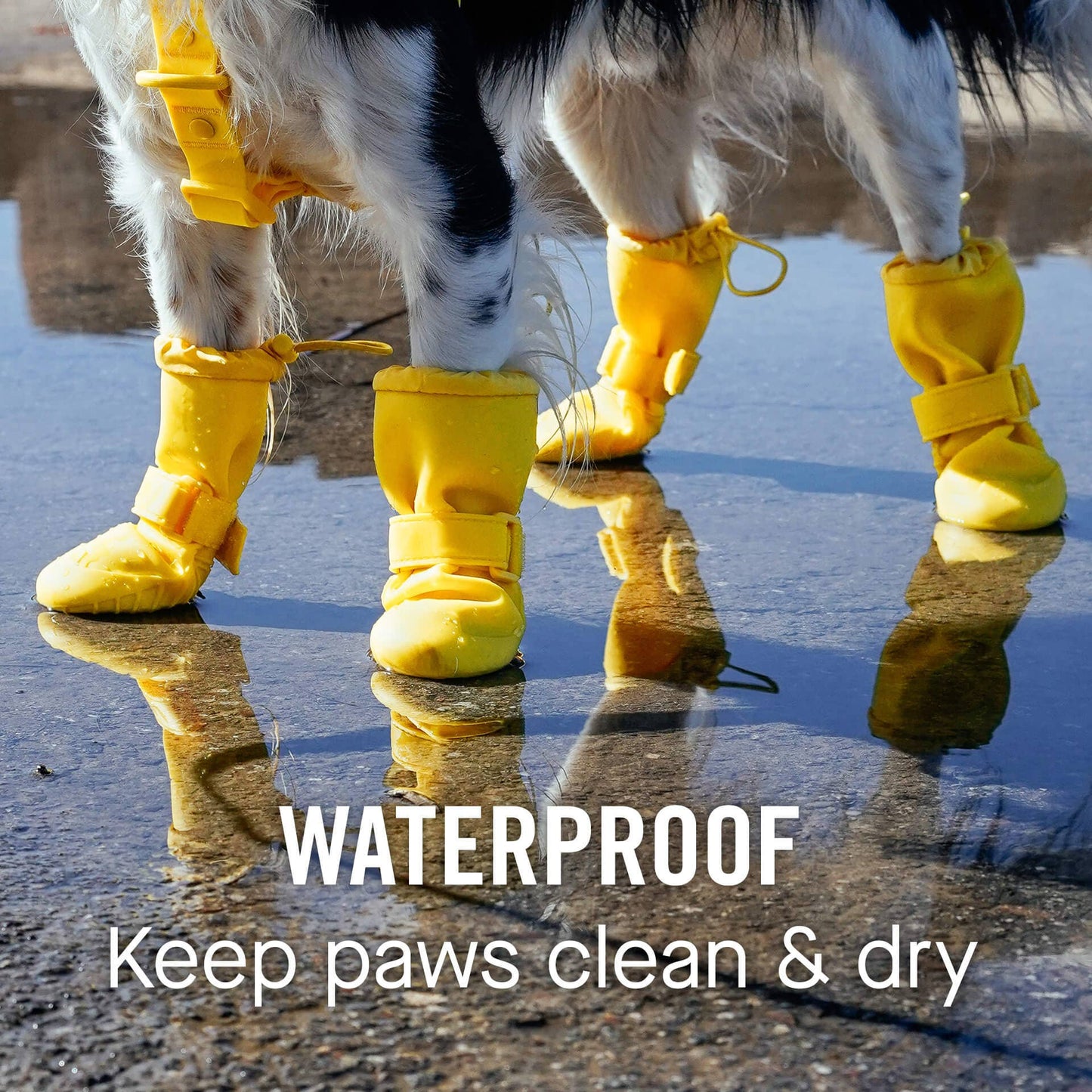 Waterproof Rain Boots- Dog Boots