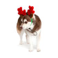 Midlee Christmas Reindeer Small Dog Antlers