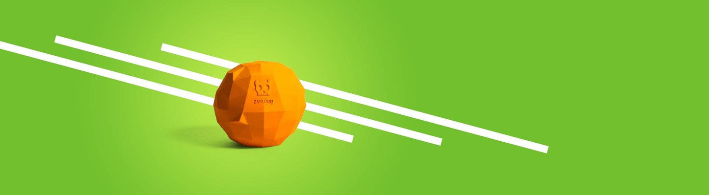 Super Orange | Dog Toy