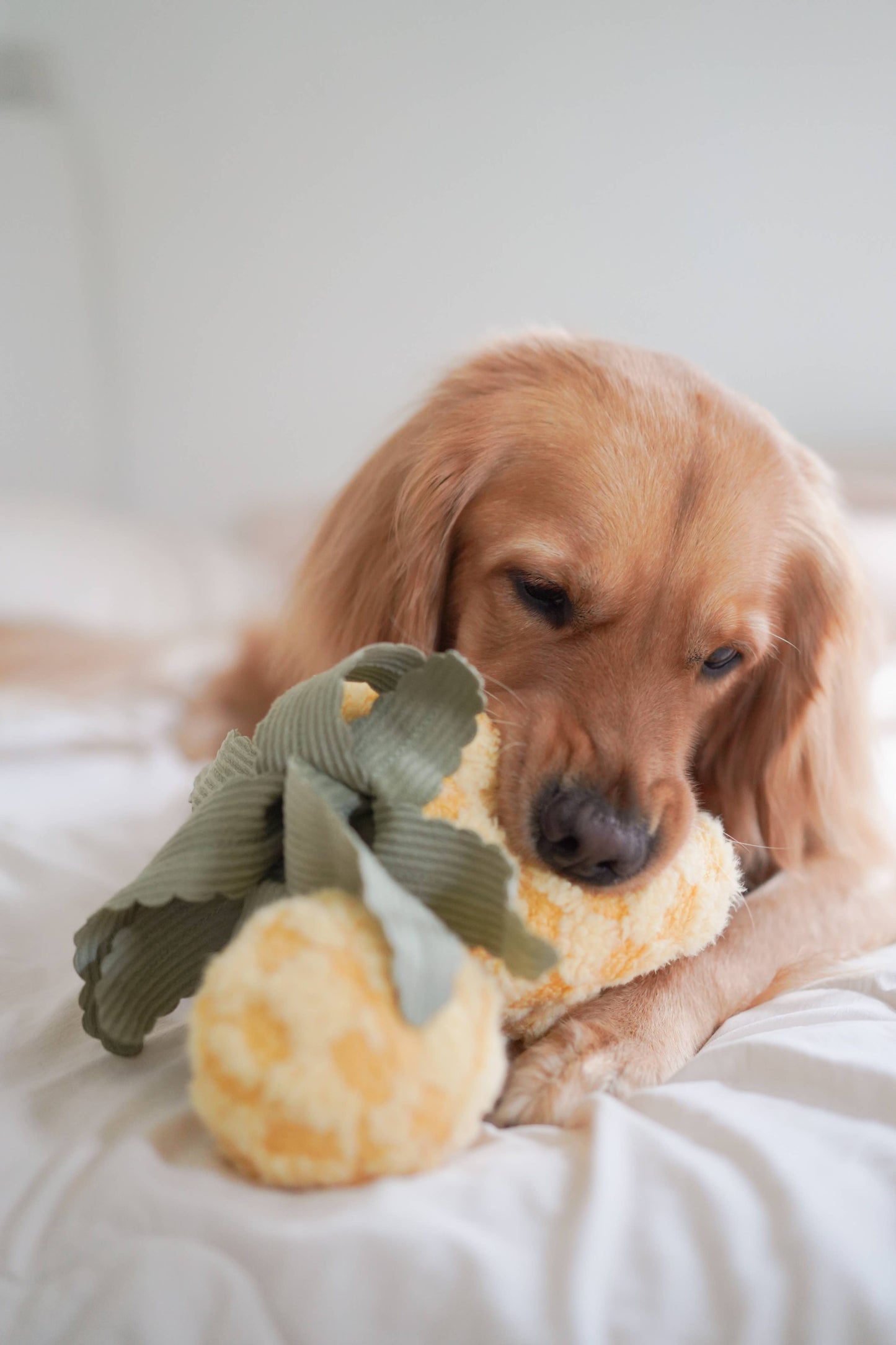 PINEAPPLE//ENRICHMENT DOG TOY