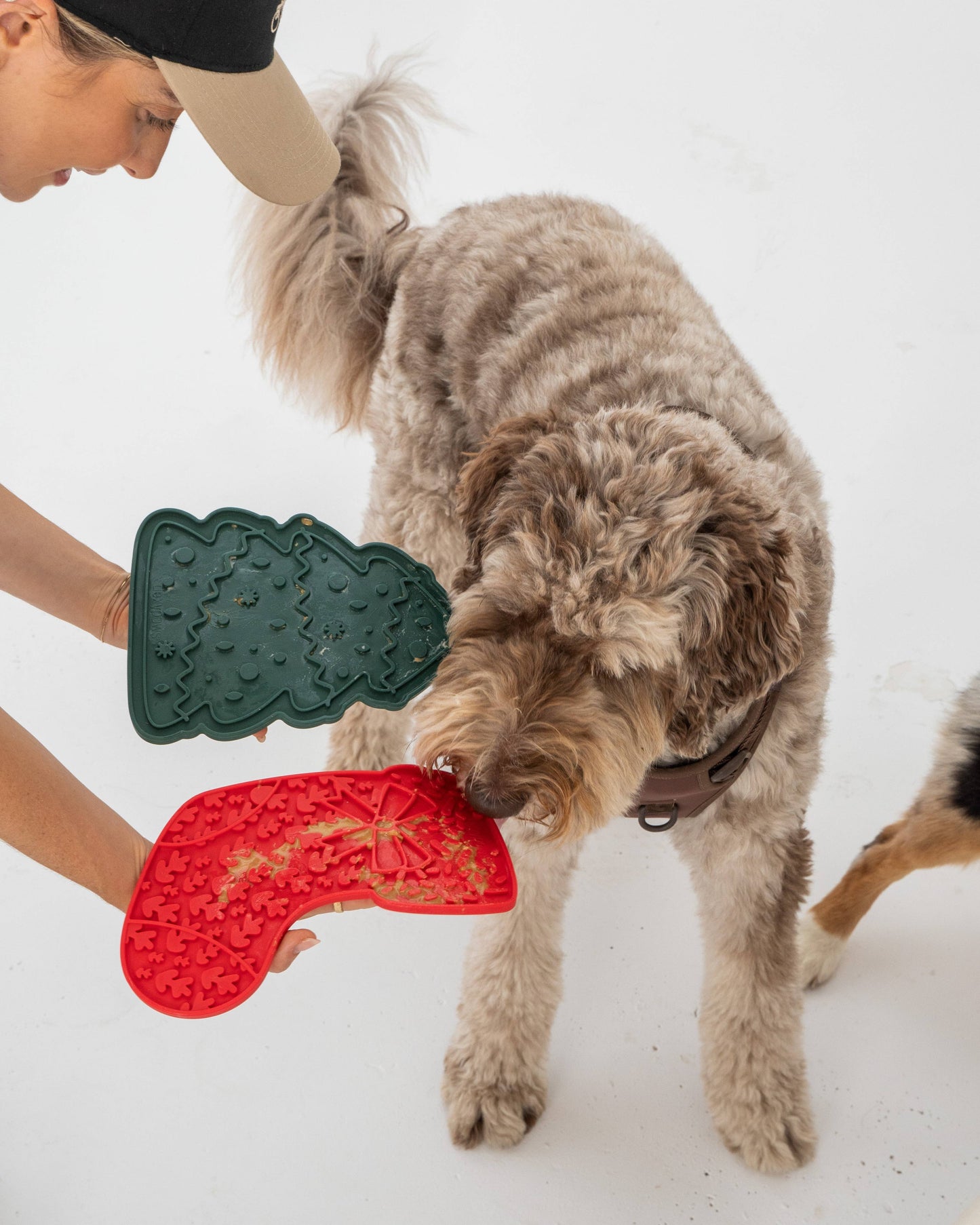 Stocking Enrichment Lick Mat with Silicone Spatula