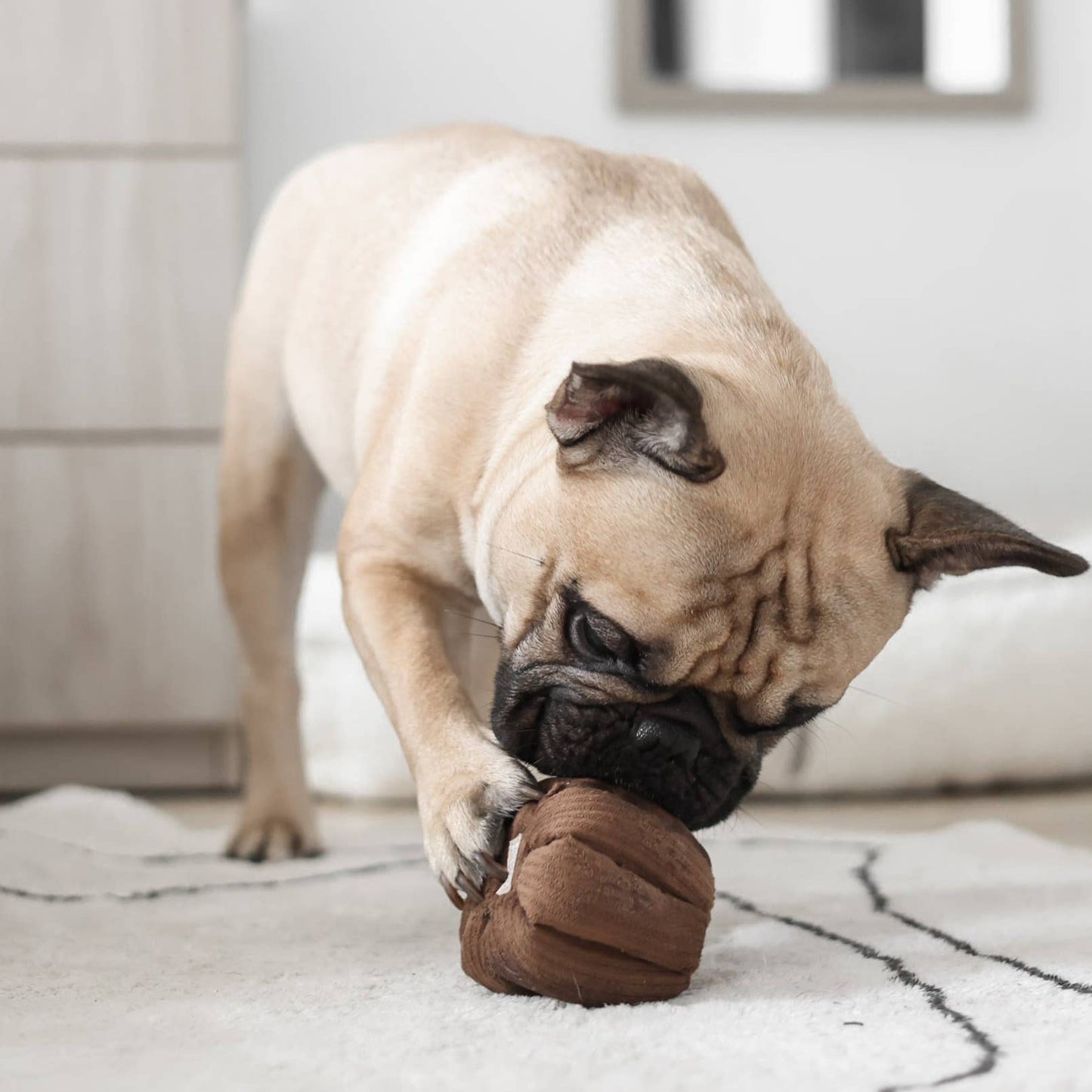 CANELE/ENRICHMENT DOG TOY