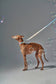 Dog Leash - Holographic Lunar NEW!