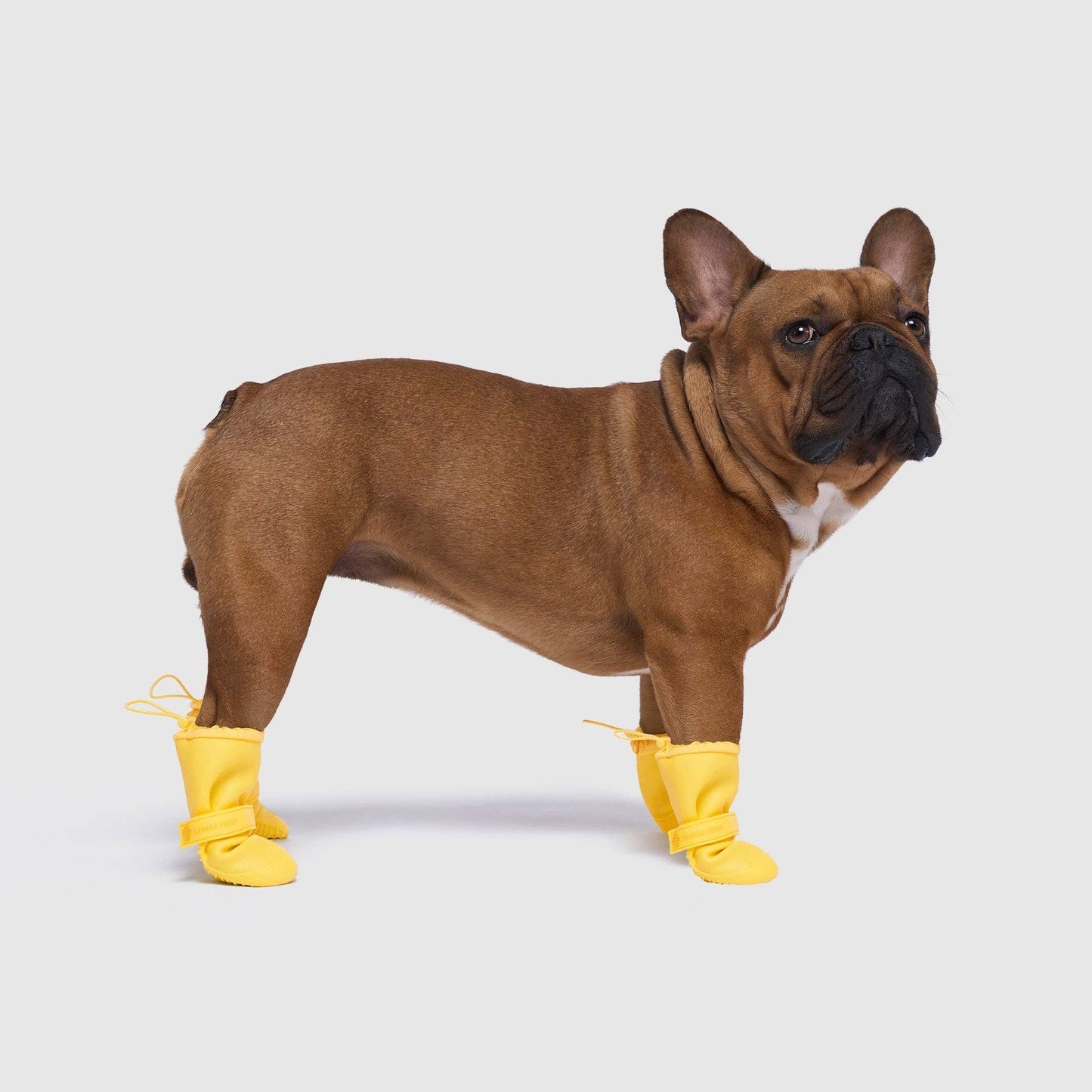 Waterproof Rain Boots- Dog Boots