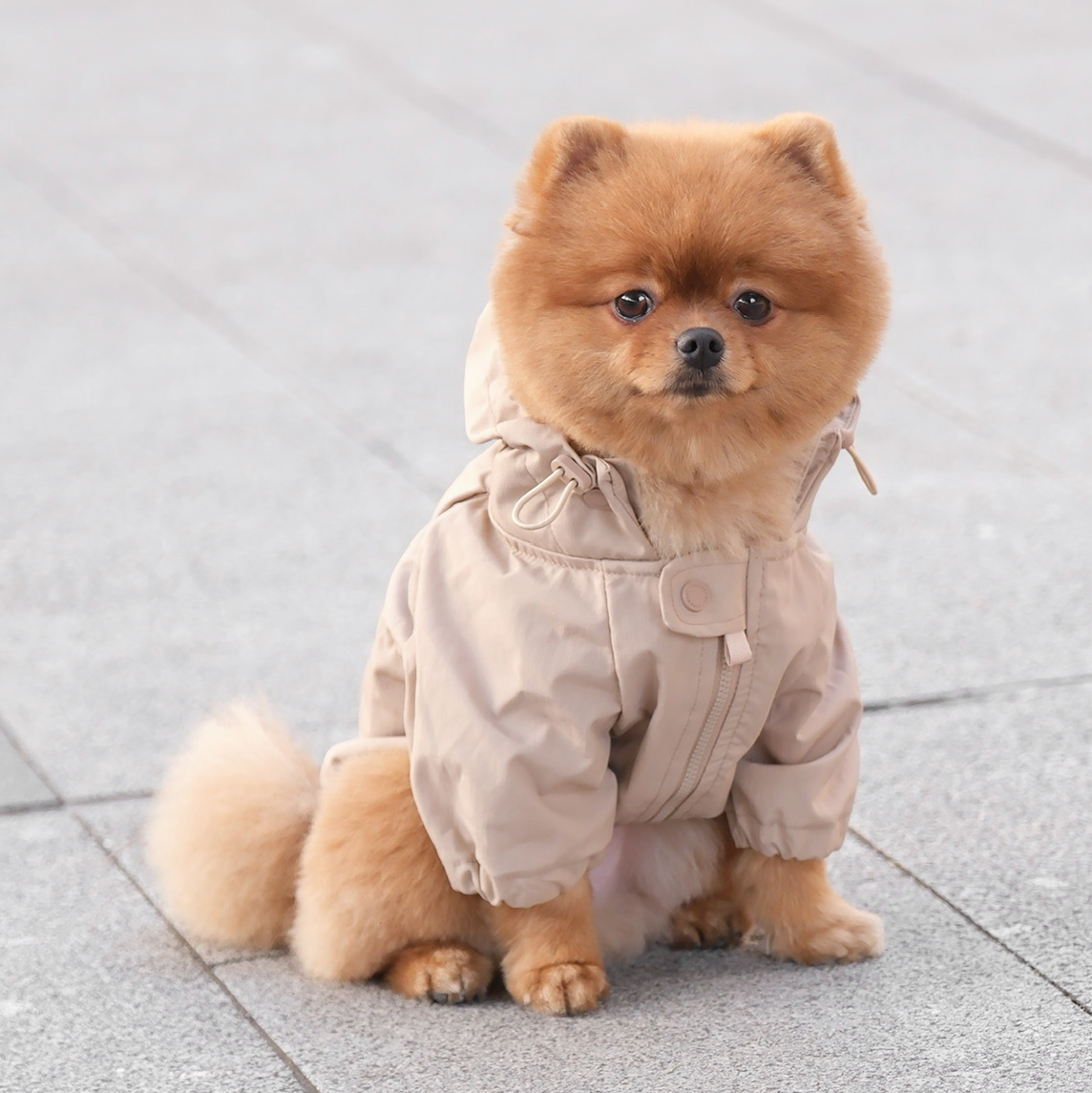 BROOKLYN Raincoat(Fern)