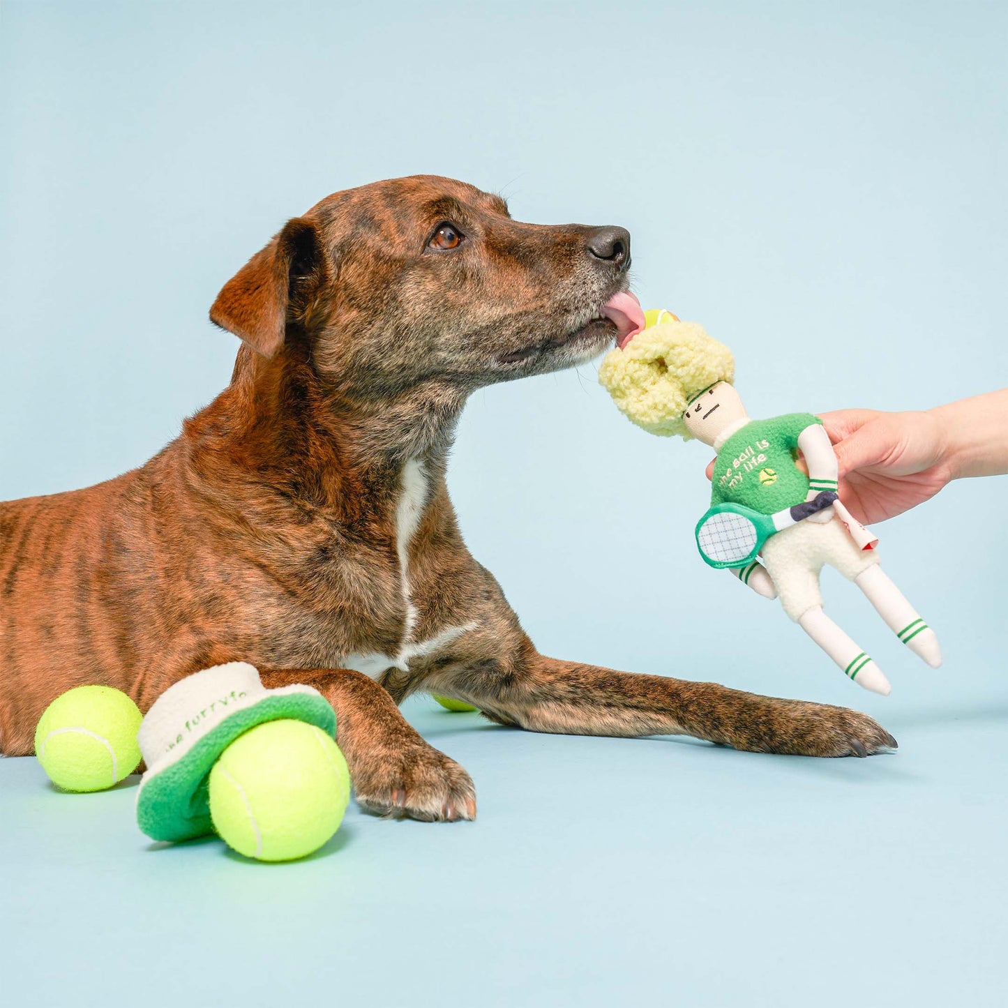 Tennis Hooman Nosework Toy