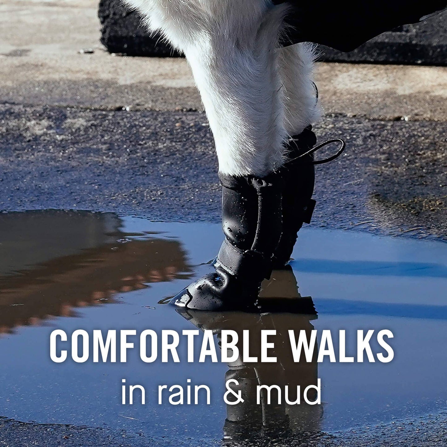 Waterproof Rain Boots- Dog Boots