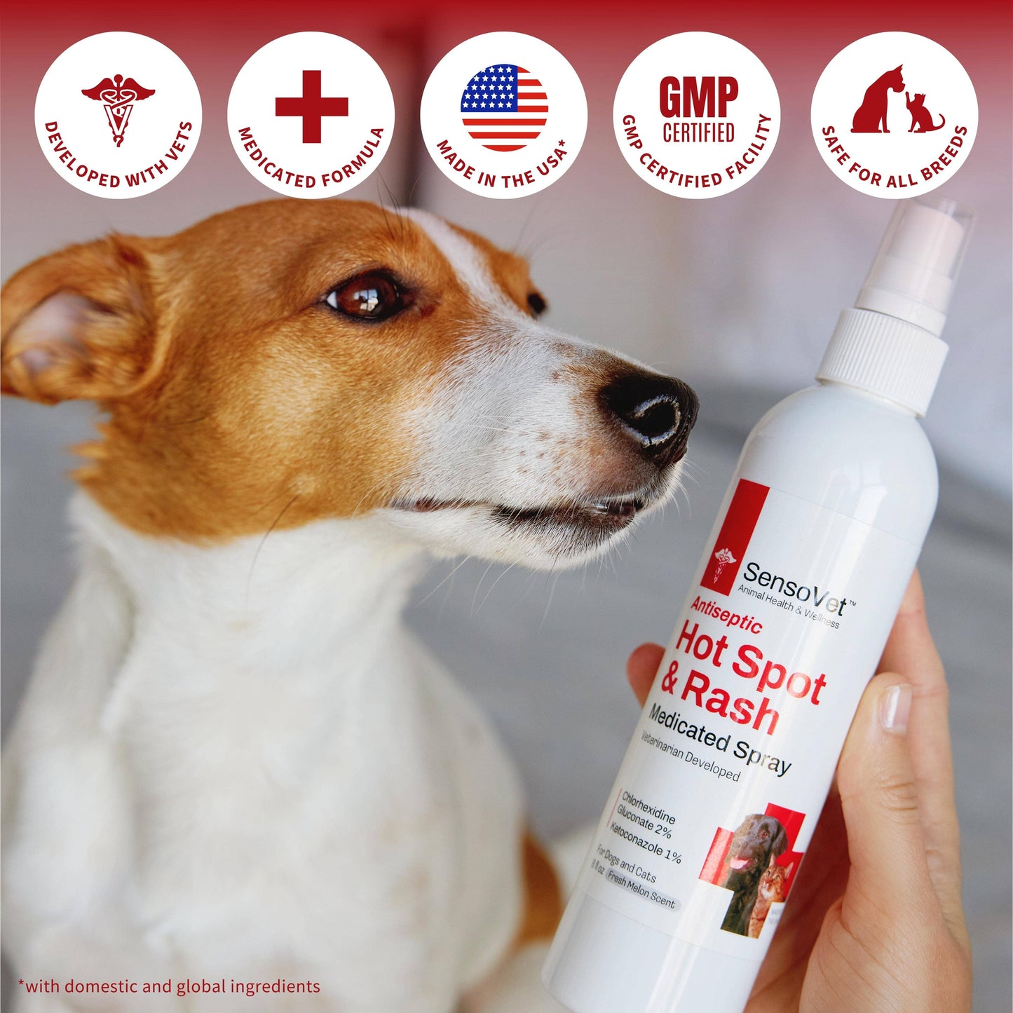 Antiseptic Hot Spot & Rash for Dogs & Cats - 8oz