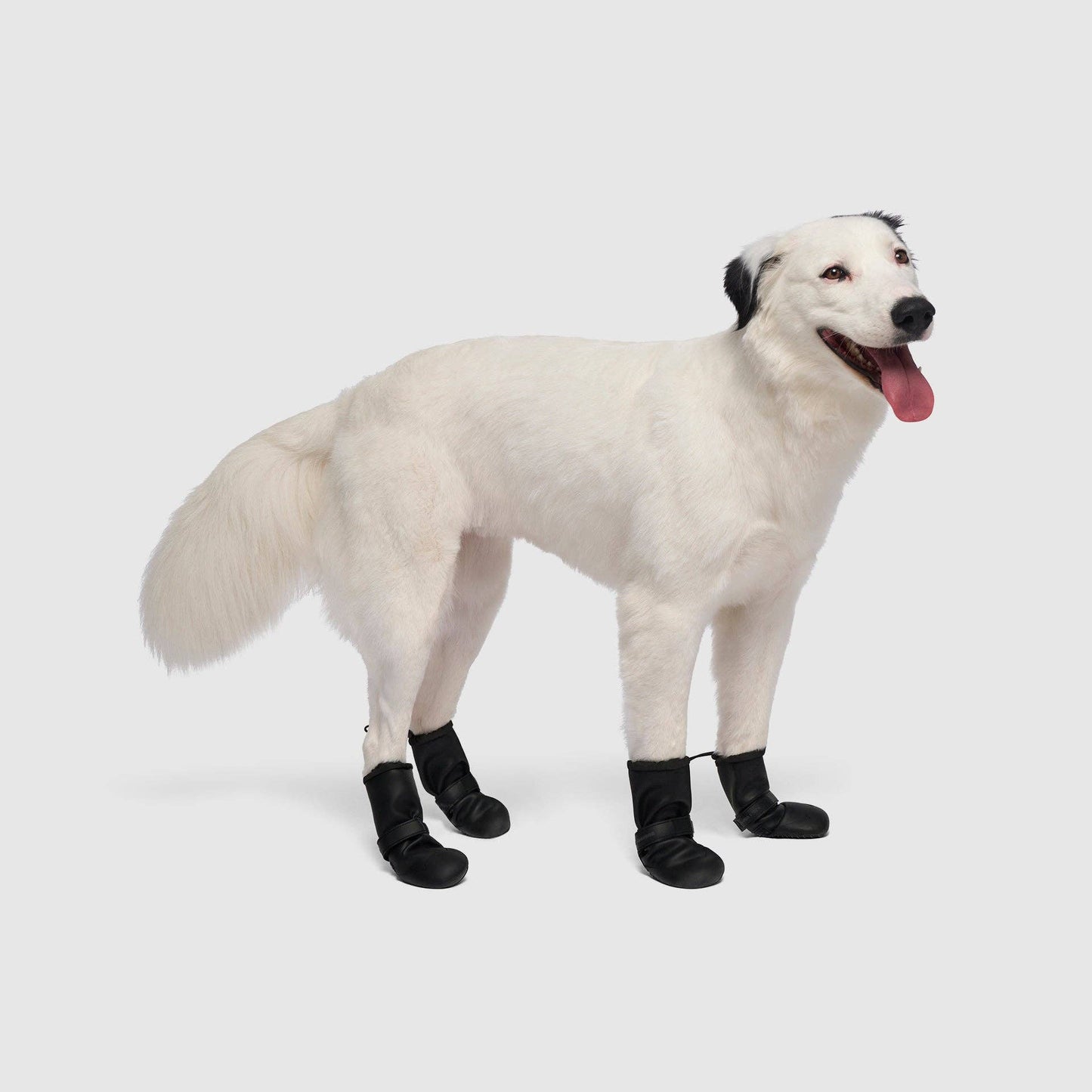 Waterproof Rain Boots- Dog Boots