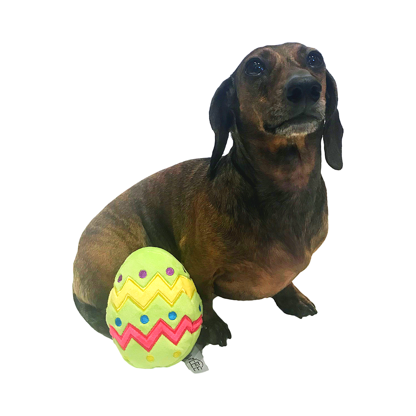 Plush Easter Egg Dog Toy with Squeaker