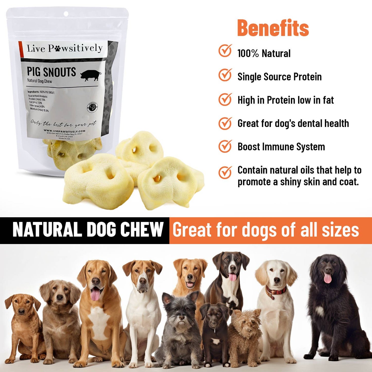 Pig Snout 4 Pack - Natural dog chew 