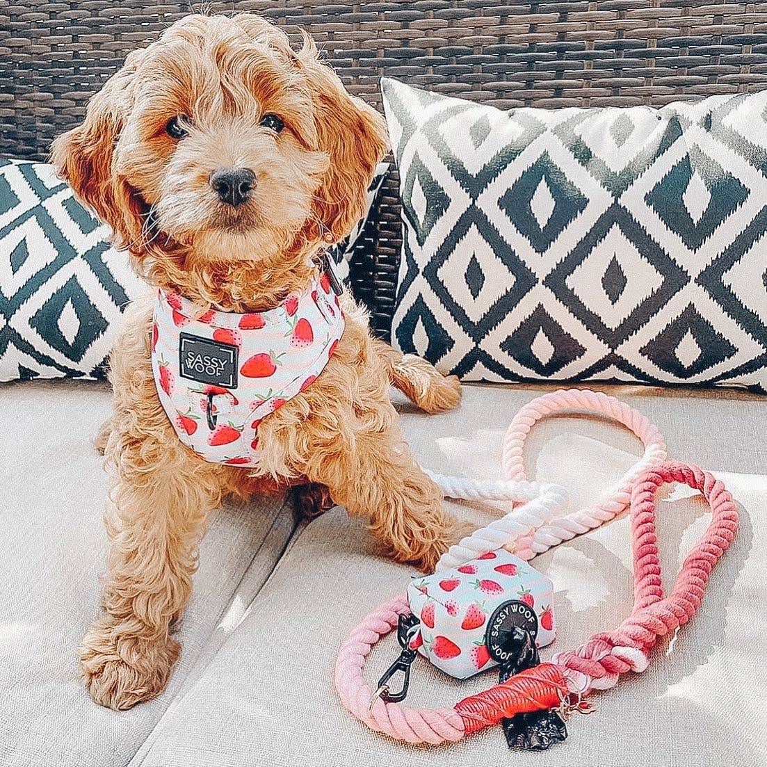 Dog Rope Leash - Poppy