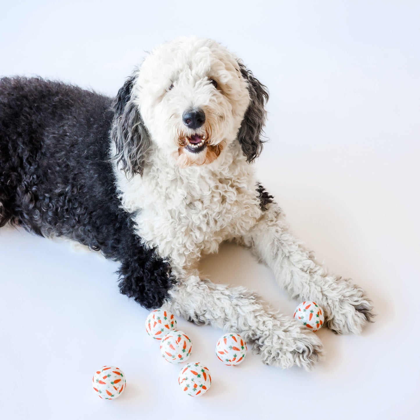 Easter Carrot Dog Tennis Balls