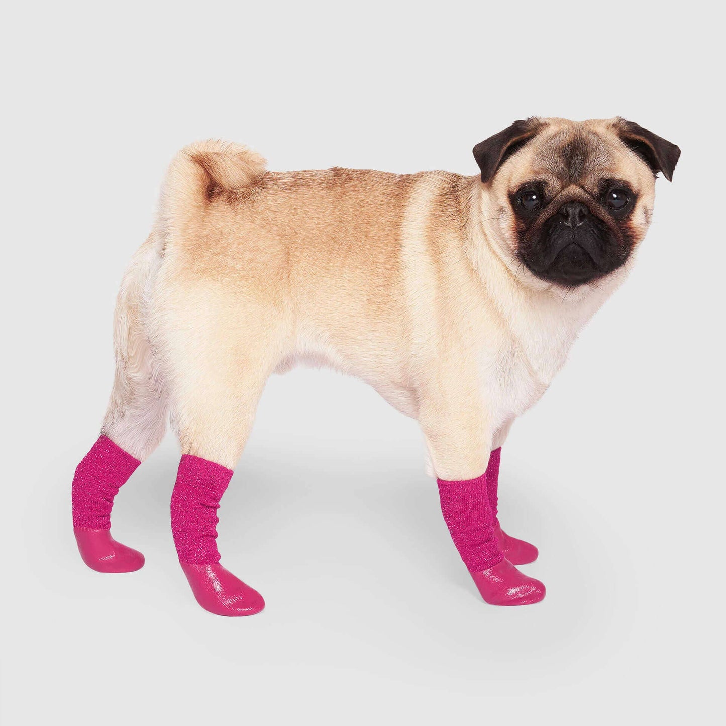 Slouchy Socks- Dog Socks