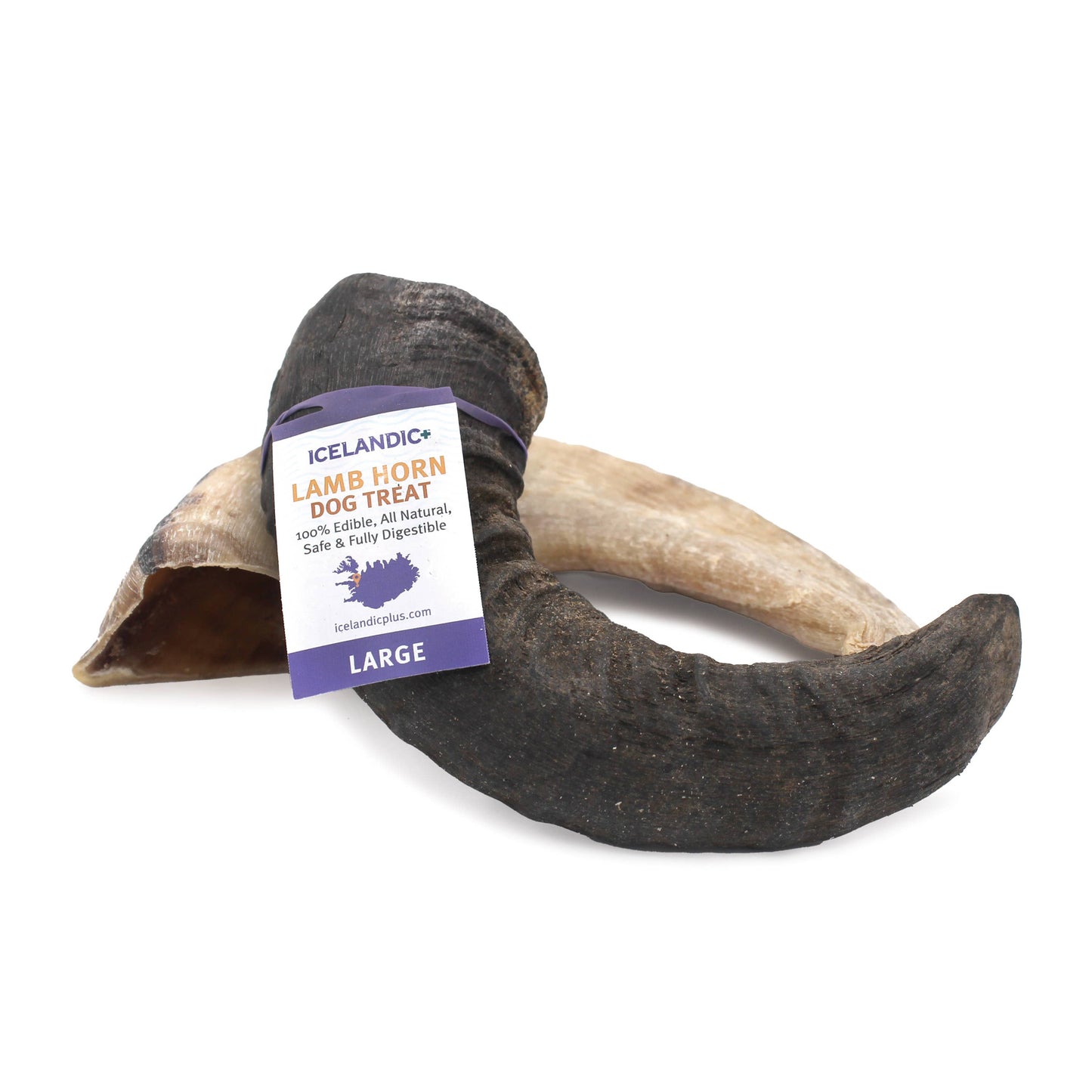 Icelandic+ Large Lamb Horn Dog Treat 12-Ct