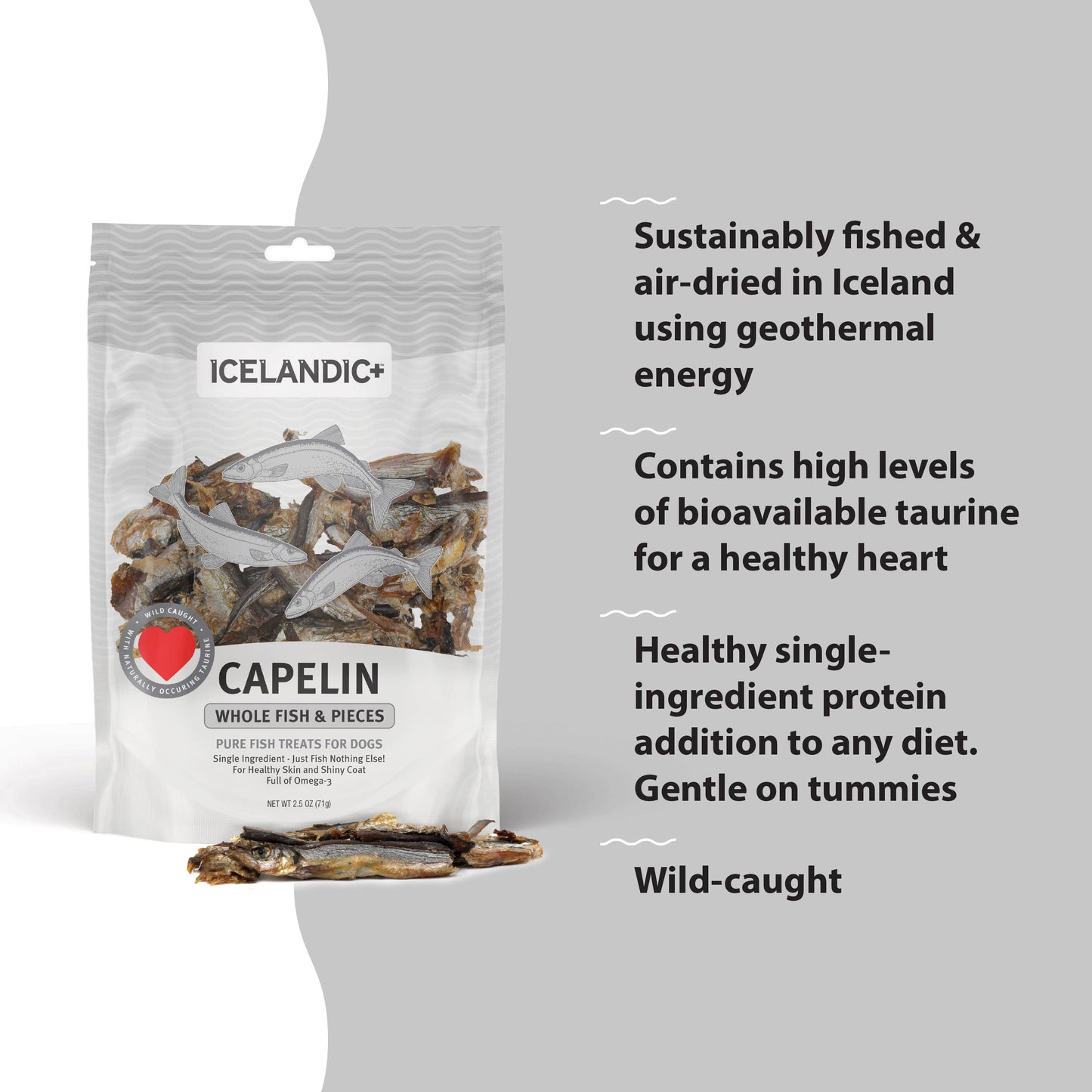 Icelandic+ Capelin Whole Fish & Pieces Dog Treat: 2.5-oz Bag