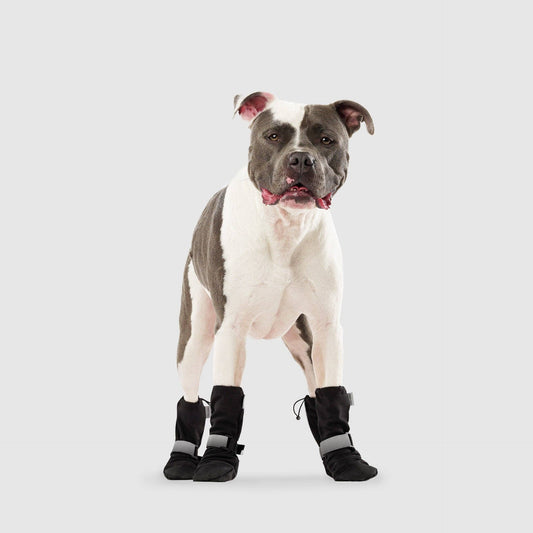 Soft Shield Boots- Dog Boots