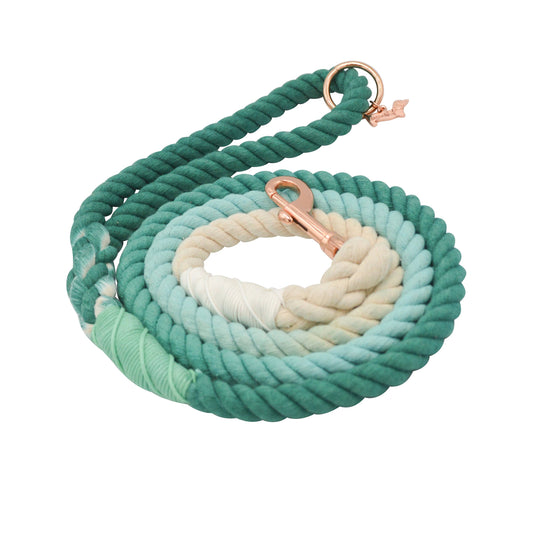 Dog Rope Leash - Ombre Teal