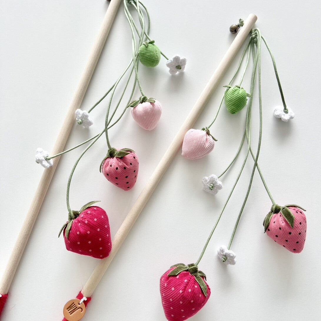 Strawberry Rod Cat Toy