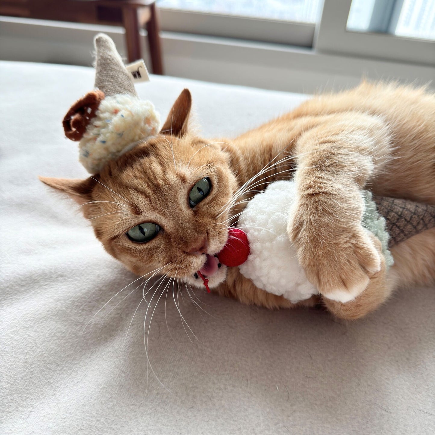 Ice Cream Cat Toy