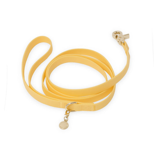 Dandelion Yellow Waterproof Cloud Dog Leash