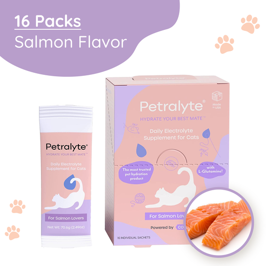 Cat Electrolyte and Joint Supplement | Salmon Lovers