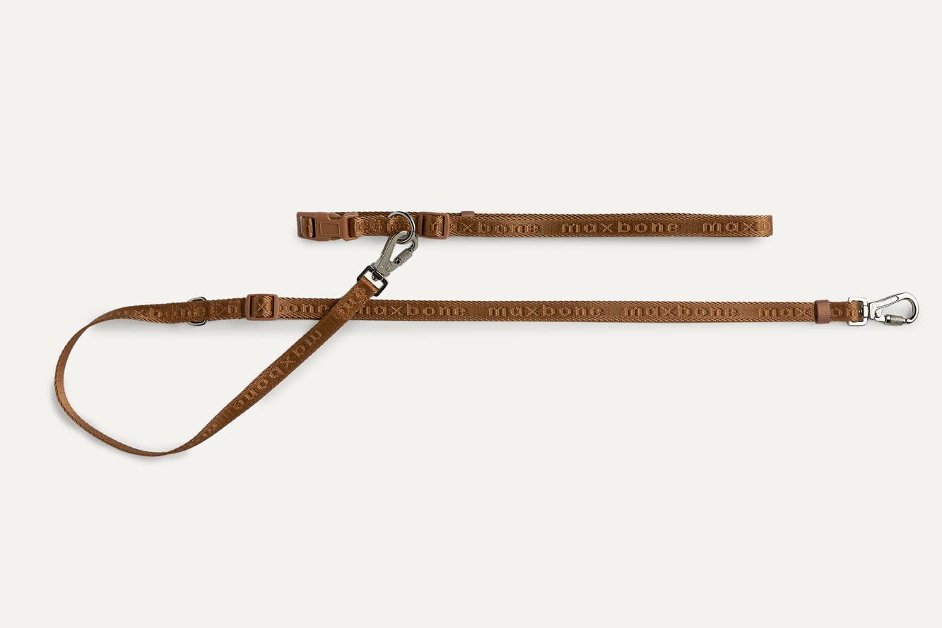 Mini Go with Ease Hands Free Dog Leash: Camel