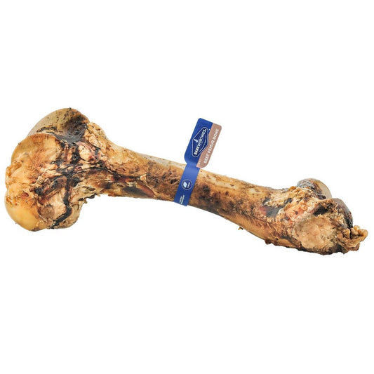 Barkworthies Femur Bone (Case 5)