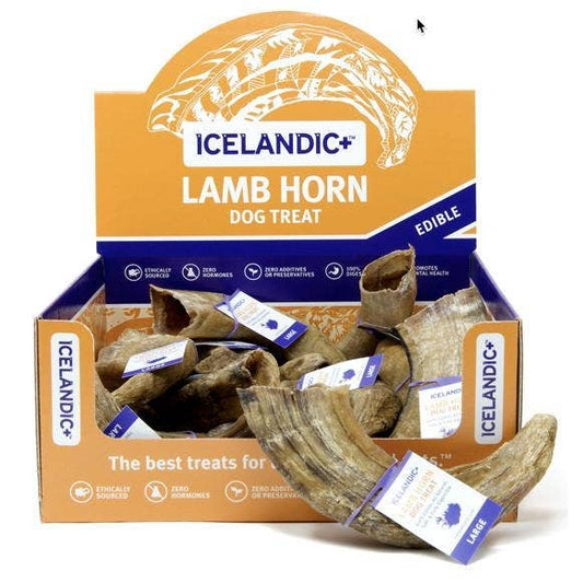 Icelandic+ Large Lamb Horn Dog Treat 12-Ct