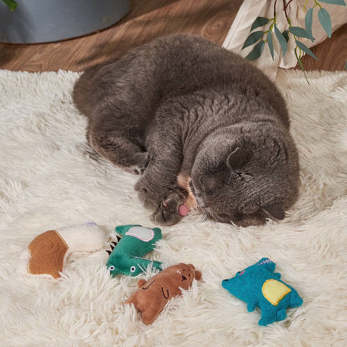 5 pcs Cute Soft Cat Toy Set