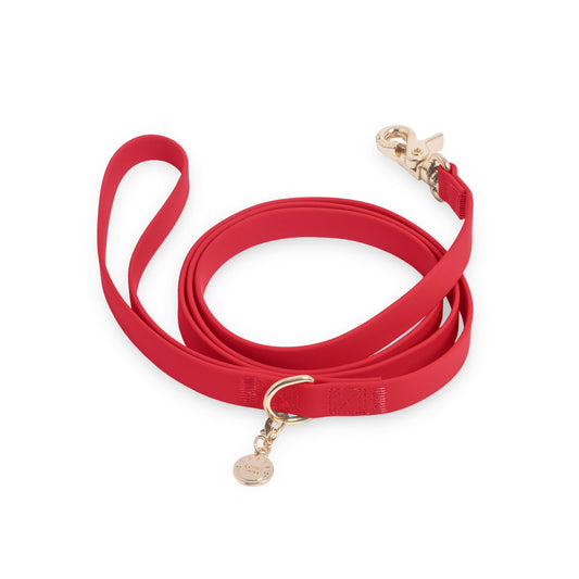 Cherry Red Waterproof Cloud Dog Leash