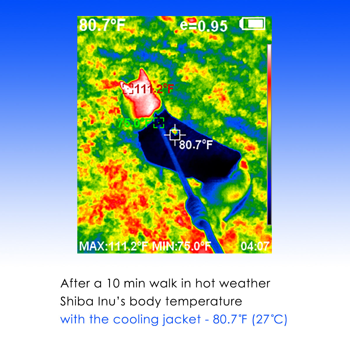 LCB Nice Cooling Jacket