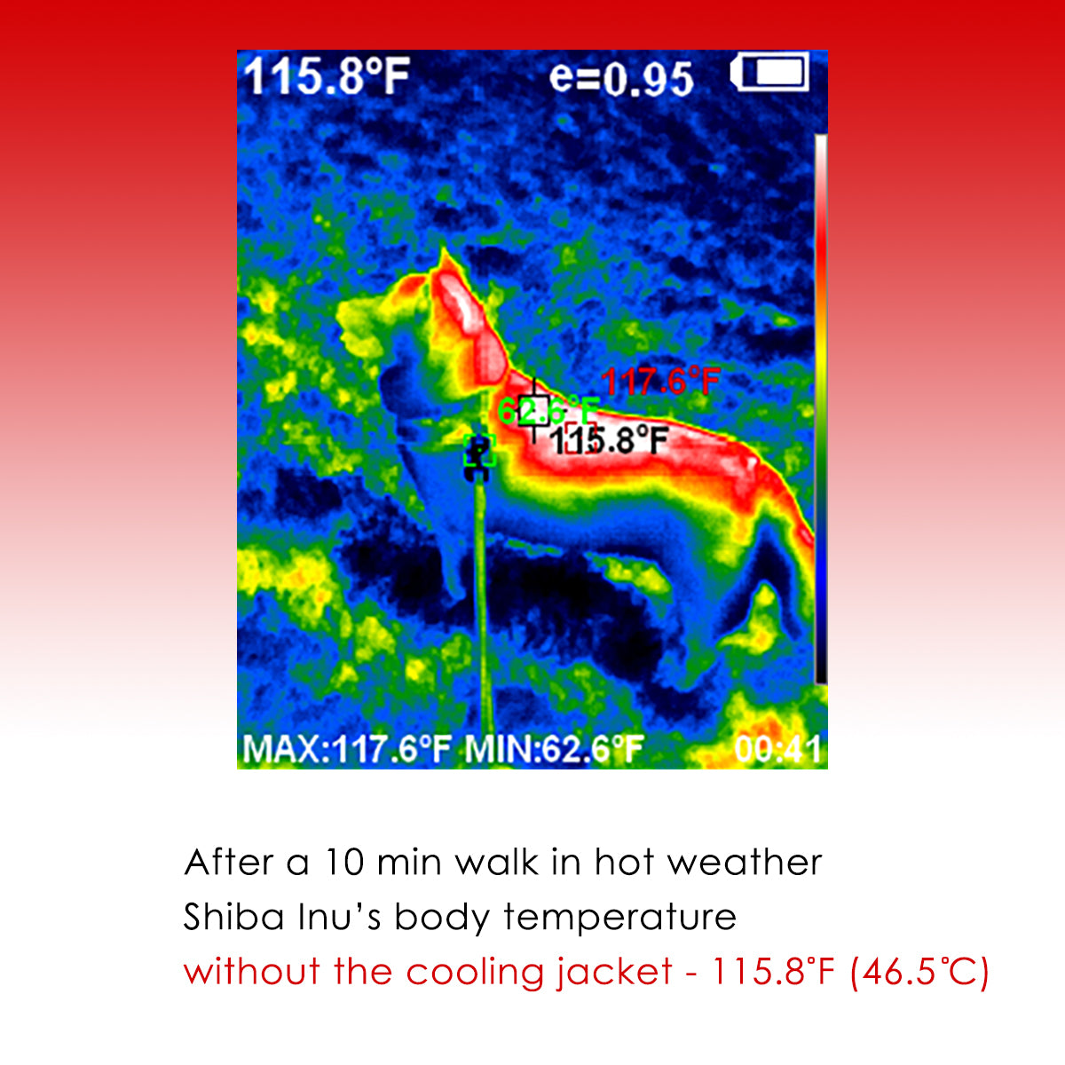 LCB Nice Cooling Jacket