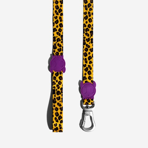 Honey | Dog Leash