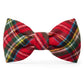 Tartan Plaid Flannel Holiday Dog Bow Tie: Large