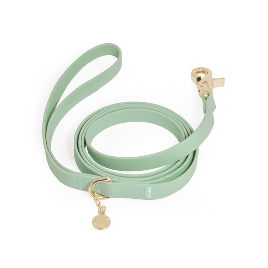 Pistachio Green Waterproof Cloud Dog Leash